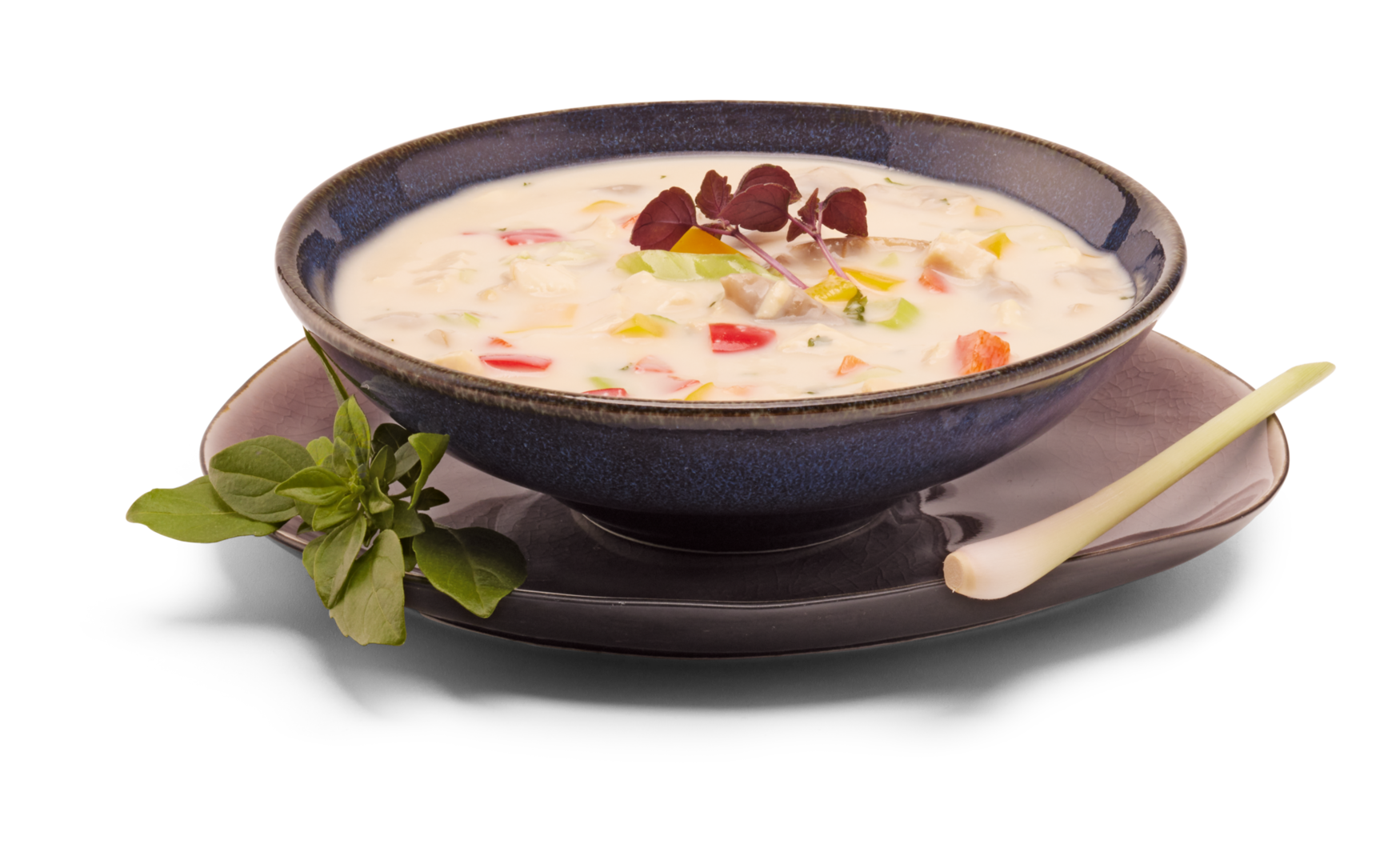 Thailändische Kokossuppe mit Huhn - Tom Kha Gai Thailändische Kokossuppe mit Huhn - Tom Kha Gai von Alois Dallmayr KG