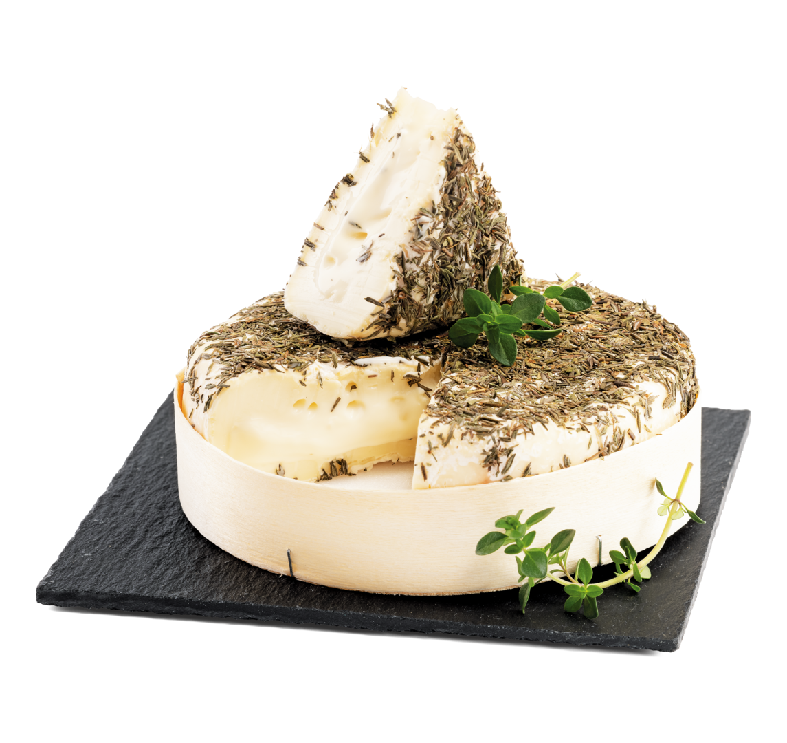 Vera Pagliettina mit Thymian, Rohmilch 3-Milch, mind. 55 % Fett i. Tr. Vera Pagliettina mit Thymian, Rohmilch 3-Milch, mind. 55 % Fett i. Tr. von Alois Dallmayr KG