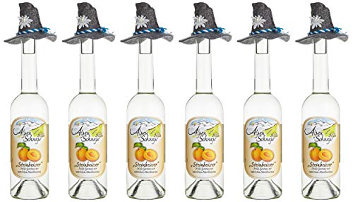 Alpenschnaps | Steinbeisser | 6 x 500ml | Marille | pures Alpenglück im Glas von Alpenschnaps