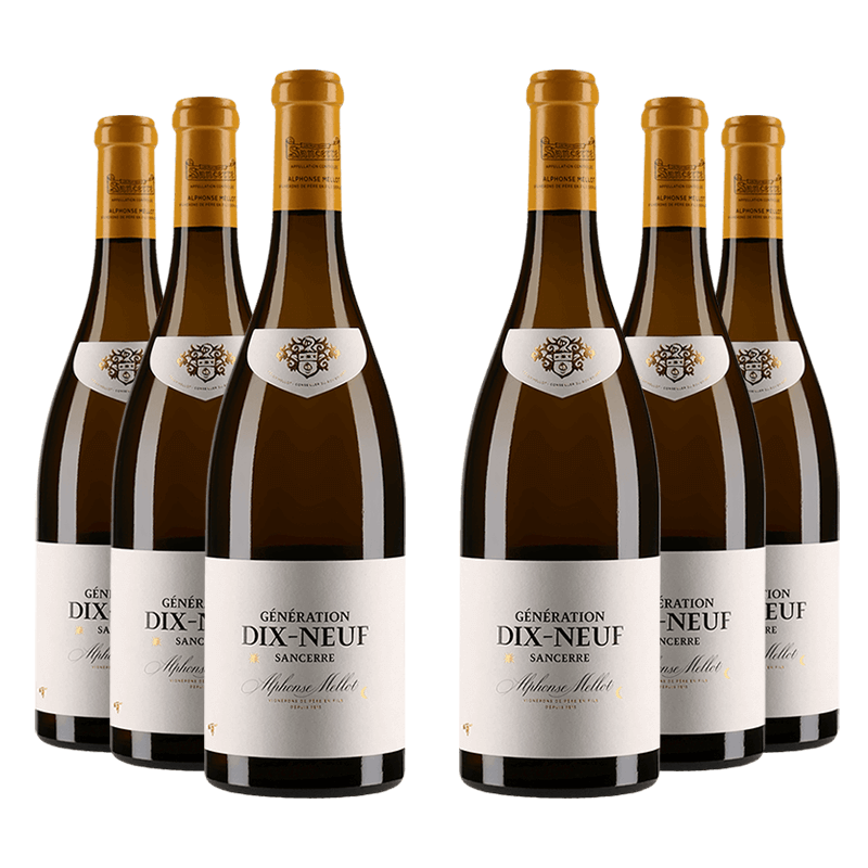 Alphonse Mellot : Génération XIX 2020 Alphonse Mellot : Génération XIX 2020 von Alphonse Mellot
