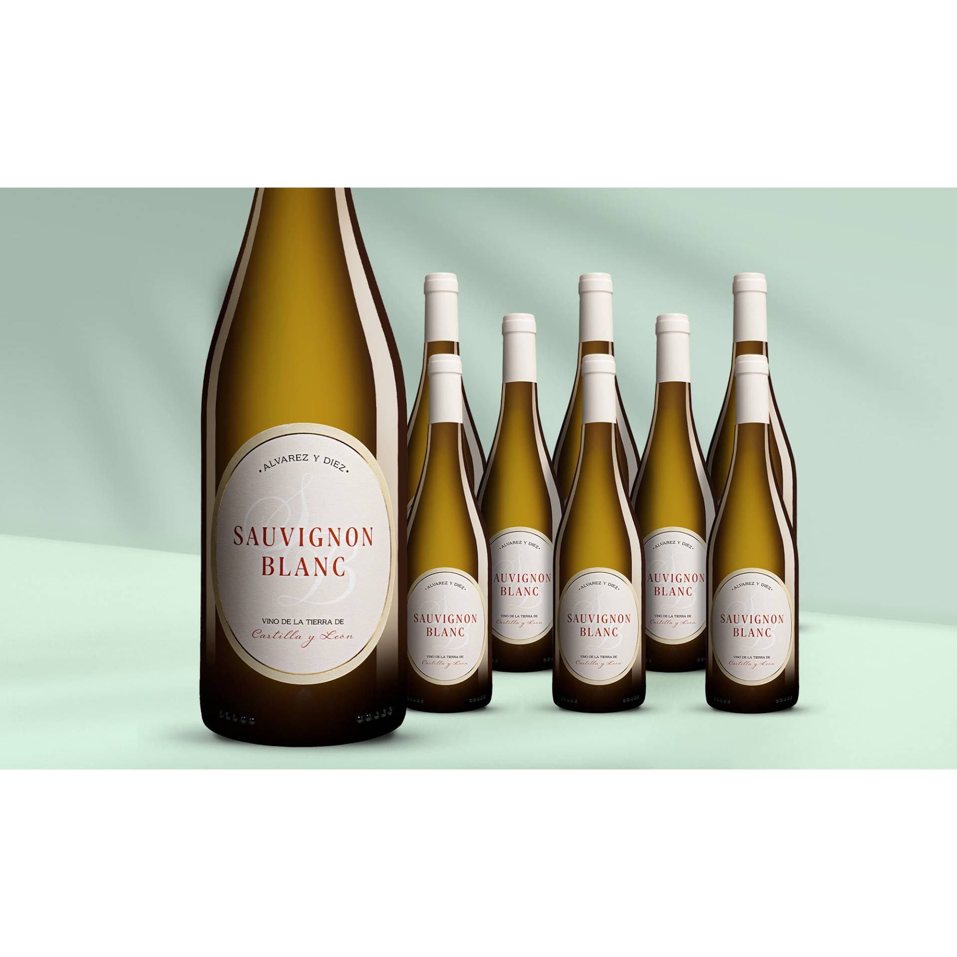 Alvarez y Diez Sauvignon Blanc 2024 6.75L 12.5% Vol. Weinpaket aus Spanien Alvarez y Diez Sauvignon Blanc 2024 6.75L 12.5% Vol. Weinpaket aus Spanien von Álvarez y Díez