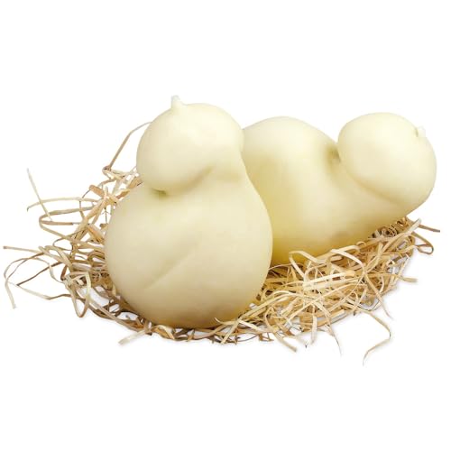 Scamorza aus Buafala-Milch | Käse Mail | Frischkäse | 4 Stück à 250 g | 1 kg | Battipaglia | Campania von Amanti taste and passion