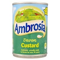 Ambrosia Devon Custard 400g von Ambrosia