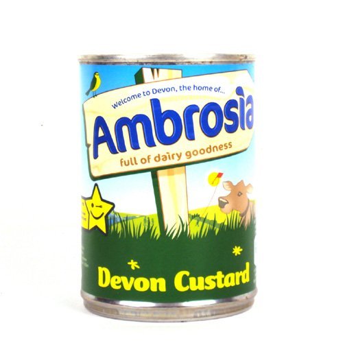 Ambrosia Devon Custard in 15oz Can von Ambrosia