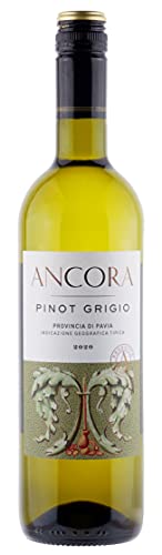 Ancora Pinot Grigio, IGT Provincia di Pavia (Case of 6x75cl), Italien/Weißwein (GRAPE PINOT GRIGIO 100%) von Ancora