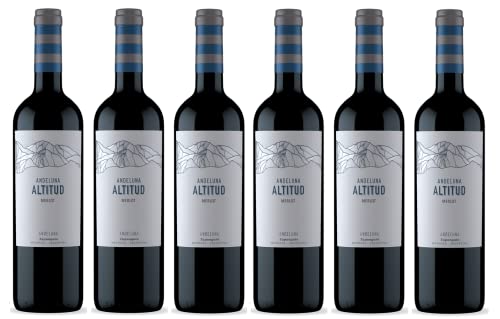 6x 0,75l - 2022er - Andeluna - Altitud - Merlot - Tupungato - Mendoza - Argentinien - Rotwein trocken von Andeluna