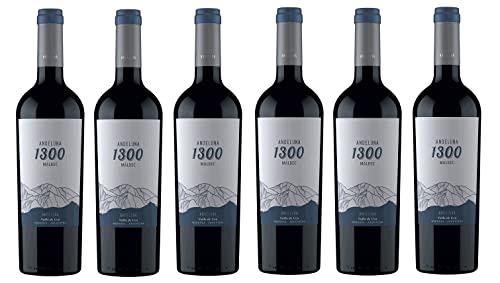 6x 0,75l - 2023er - Andeluna - 1300 - Malbec - Valle de Uco - Mendoza - Argentinien - Rotwein trocken von Andeluna