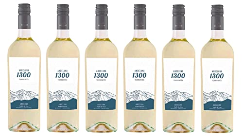 6x 0,75l - 2021er - Andeluna - 1300 - Torrontés - Valle de Uco - Mendoza - Argentinien - Weißwein trocken von Andeluna