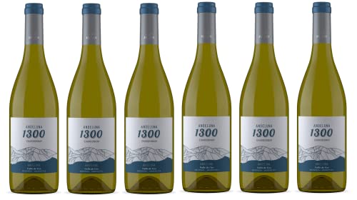 6x 0,75l - Andeluna - 1300 - Chardonnay - Valle de Uco - Mendoza - Argentinien - Weißwein trocken von Andeluna
