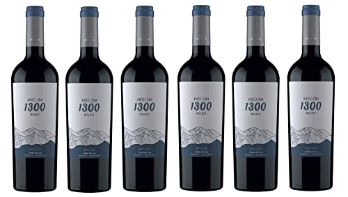 6x 0,75l - Andeluna - 1300 - Malbec - Valle de Uco - Mendoza - Argentinien - Rotwein trocken von Andeluna