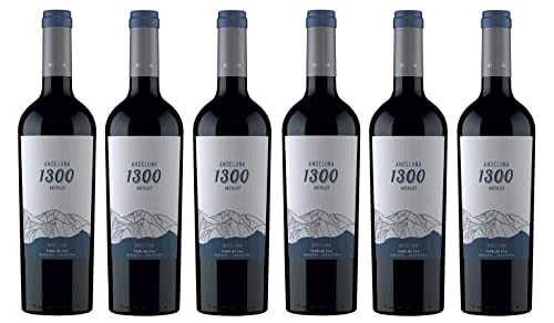 6x 0,75l - Andeluna - 1300 - Merlot - Valle de Uco - Mendoza - Argentinien - Rotwein trocken von Andeluna