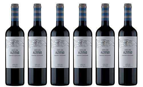 6x 0,75l - Andeluna - Altitud - Cabernet Sauvignon - Tupungato - Mendoza - Argentinien - Rotwein trocken von Andeluna