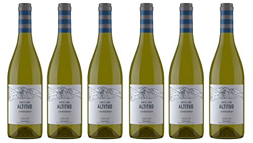6x 0,75l - Andeluna - Altitud - Chardonnay - Tupungato - Mendoza - Argentinien - Weißwein trocken von Andeluna