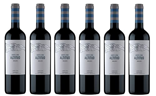6x 0,75l - Andeluna - Altitud - Malbec - Tupungato - Mendoza - Argentinien - Rotwein trocken von Andeluna