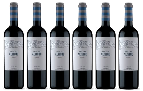 6x 0,75l - Andeluna - Altitud - Merlot - Tupungato - Mendoza - Argentinien - Rotwein trocken von Andeluna