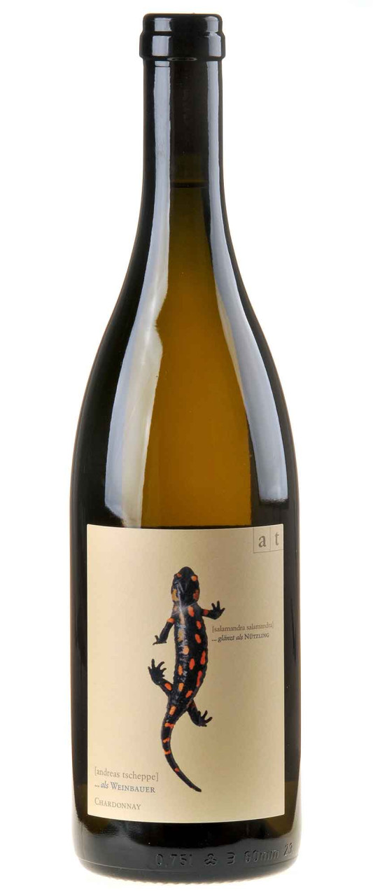 Andreas Tscheppe Salamander Bio 2023 von Andreas Tscheppe