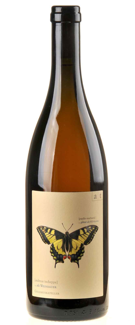 Andreas Tscheppe Schwalbenschwanz Bio 2023 von Andreas Tscheppe