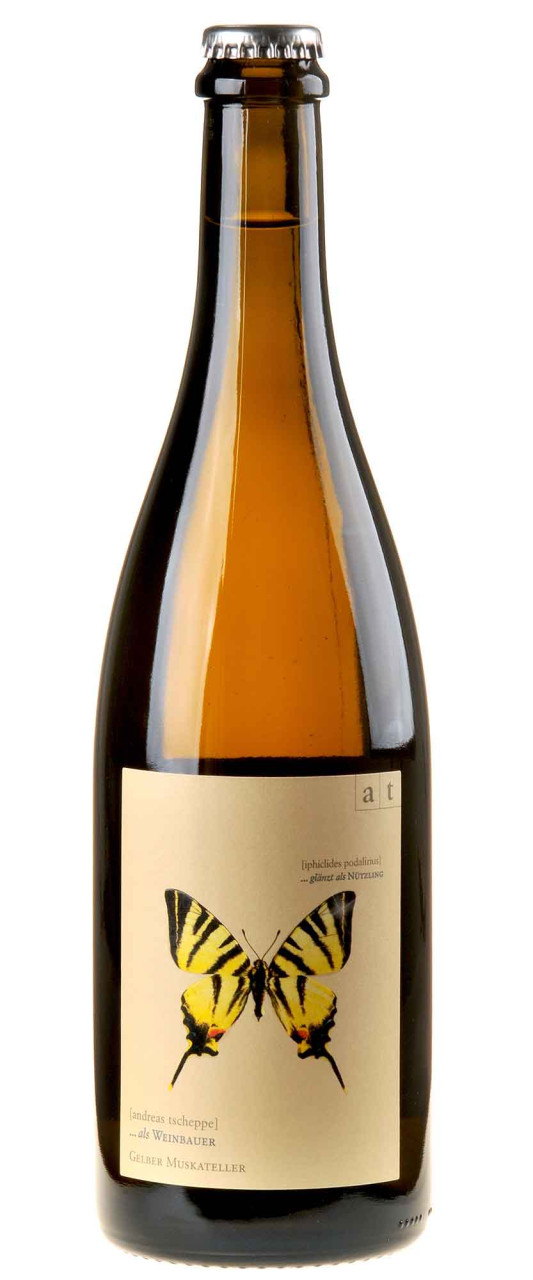 Andreas Tscheppe Segelfalter Bio 2023 Andreas Tscheppe Segelfalter Bio 2023 von Andreas Tscheppe
