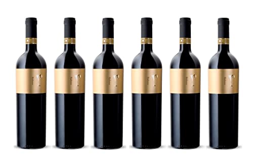 6x 0,75l - Anno Domini 47 Vineyards - Raboso - Piave D.O.P. - Italien - Rotwein trocken von Anno Domini 47 Vineyards