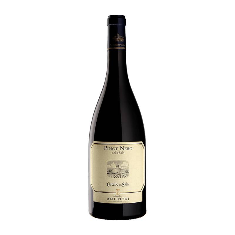 Antinori - Castello della Sala : Pinot Nero 2020 von Antinori - Castello della Sala