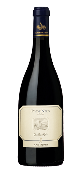 Pinot Nero Umbria IGT 2021 von Castello della Sala