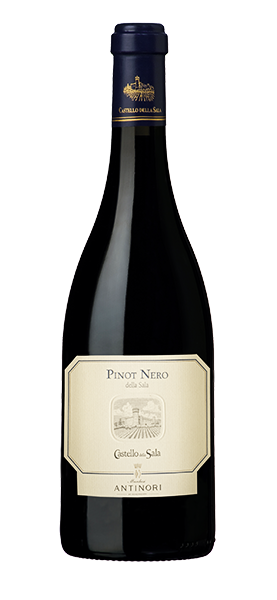 Pinot Nero Umbria IGT 2021 von Antinori Castello della Sala