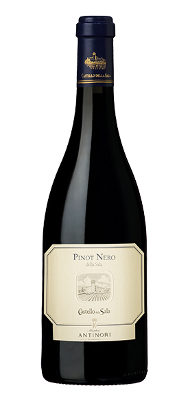 Pinot Nero Umbria IGT 2022 von Castello della Sala