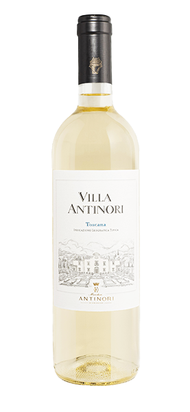 "Villa Antinori" Bianco Toscana IGT 2024 von Antinori