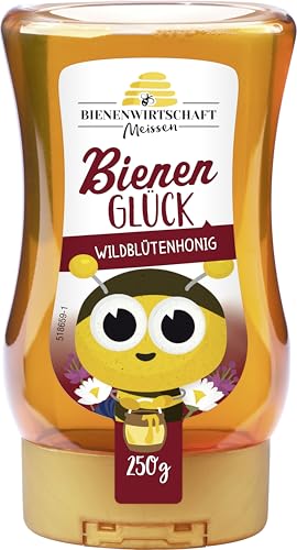 Bienenwirtschaft Meißen Bienenglück Wildblütenhonig flüssig 250g Spender - Zarter bernsteinfarbiger Honig, lieblich im Geschmack - Praktischer Spender (1 x 250g) von Bienenwirtschaft Meissen