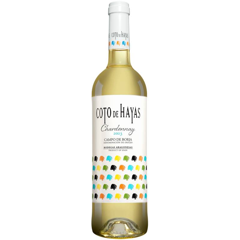 Coto de Hayas Blanco 2023  0.75L 13% Vol. Weißwein Trocken aus Spanien von Aragonesas