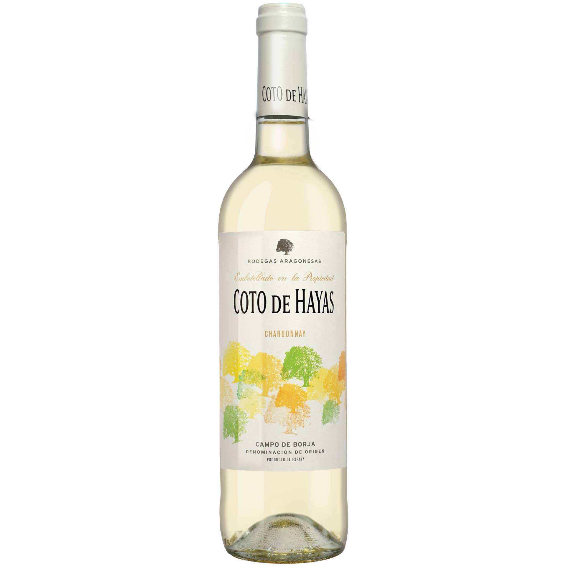 Coto de Hayas Blanco 2024 0.75L 13% Vol. Weißwein Trocken aus Spanien Coto de Hayas Blanco 2024 0.75L 13% Vol. Weißwein Trocken aus Spanien von Aragonesas