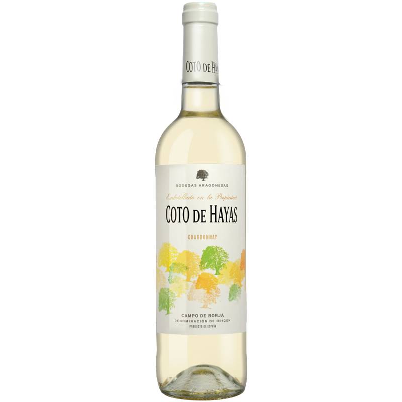 Coto de Hayas Blanco 2024  0.75L 13% Vol. Weißwein Trocken aus Spanien von Aragonesas
