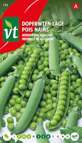 Kelvedons Wundererbsen - Gemüsesamen Kelvedons Wundererbsen - Gemüsesamen von Arborix