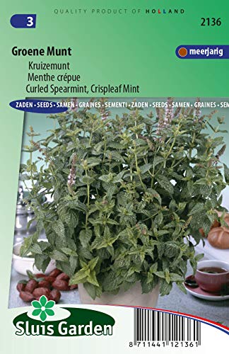 Spearmint Curled, Crispleaf Mint Spearmint Curled, Crispleaf Mint von Arborix