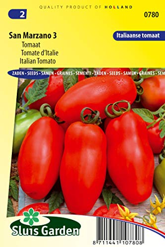 Tomato San Marzano 3 Gemüsesamen pro Gramm – Eine echte italienische Tomate, ideal für die Haut und für sonnengetrocknete Tomaten – 0,2 g – Samen pro Gramm: +/-75 Tomato San Marzano 3 Gemüsesamen pro Gramm – Eine echte italienische Tomate, ideal für die Haut und für sonnengetrocknete Tomaten – 0,2 g – Samen pro Gramm: +/-75 von Arborix