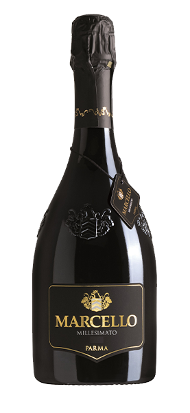 "Marcello" Lambrusco Spumante Emilia Millesimato IGT "Marcello" Lambrusco Spumante Emilia Millesimato IGT von Ariola