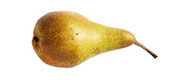 Birnen Abate Birnen Abate von Armenien