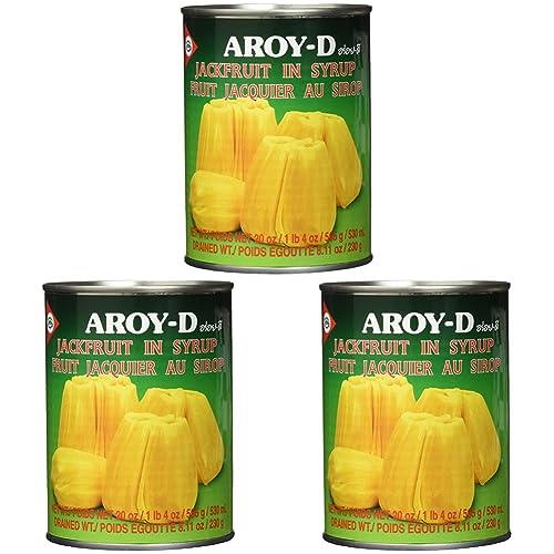 AROY-D - Jackfrüchte in Sirup, (1 X 565 GR) (Packung mit 3) von Aroy-D