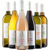 Artisan Wines  Artisan Wines Kennenlern-Paket von Artisan Wines