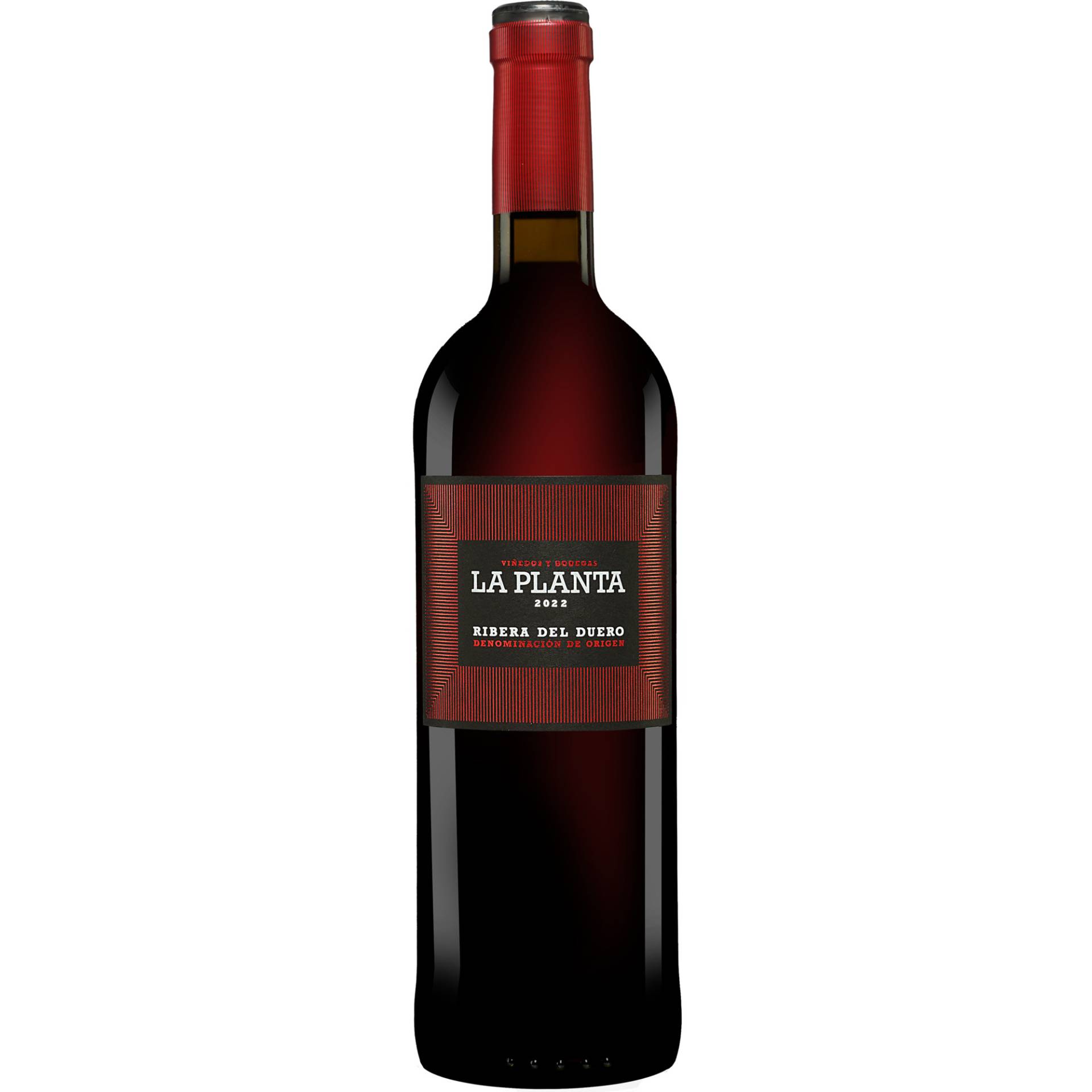 Arzuaga La Planta 2022  0.75L 14% Vol. Rotwein Trocken aus Spanien von Arzuaga