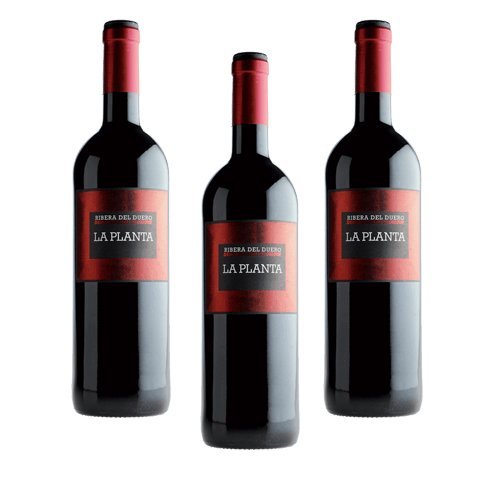 La Planta de Arzuaga Tinta Fina - Rotwein - 3 Flaschen La Planta de Arzuaga Tinta Fina - Rotwein - 3 Flaschen von Bodega Arzuaga Navarro