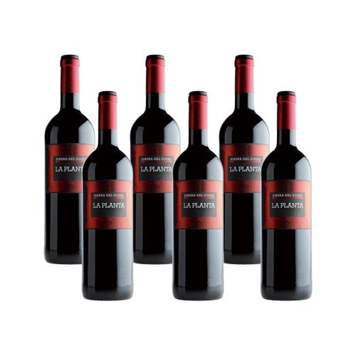 La Planta de Arzuaga Tinta Fina - Rotwein - 6 Flaschen La Planta de Arzuaga Tinta Fina - Rotwein - 6 Flaschen von GREAT BRITISH TRADING LIMITED