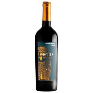 Asio Otus Rosso Vino Varietale Rotwein Wein lieblich Italien (6 Flaschen) von Asio Otus