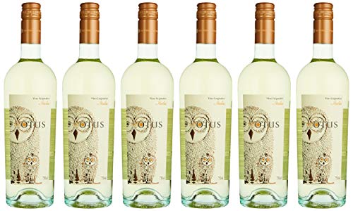 MGM Mondo del Vino Asio Otus Weiss Vino Varietale D'Italia Cuvee NV Halbtrocken (6 x 0.75 l) von Asio Otus