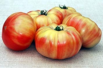 VISA STORE 1000 Samen von Mam Deutsch - Tomaten Bi-Color von Astonish