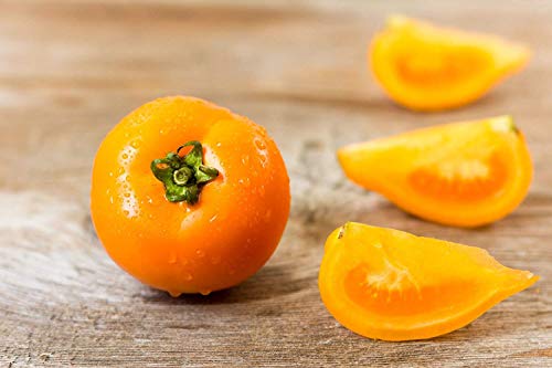 VISA STORE 1080mg Bio-Orange Paste Tomatensamen ~ Superior-Sauce Tomato Non GMO von Astonish