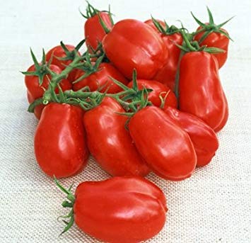 VISA STORE 250 Samen von San Marzano - Tomaten Paste von Astonish
