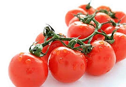VISA STORE Tomaten- Large Red Cherry- 50 Samen - 50% off se von Astonish