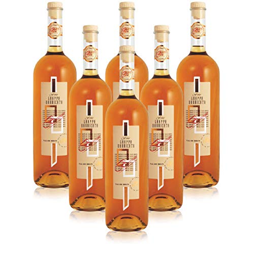 Feiner im Barriquefass veredelter ASTORIA 1 liter Italienischer Grappa (6 flaschen 1 liter) von Astoria