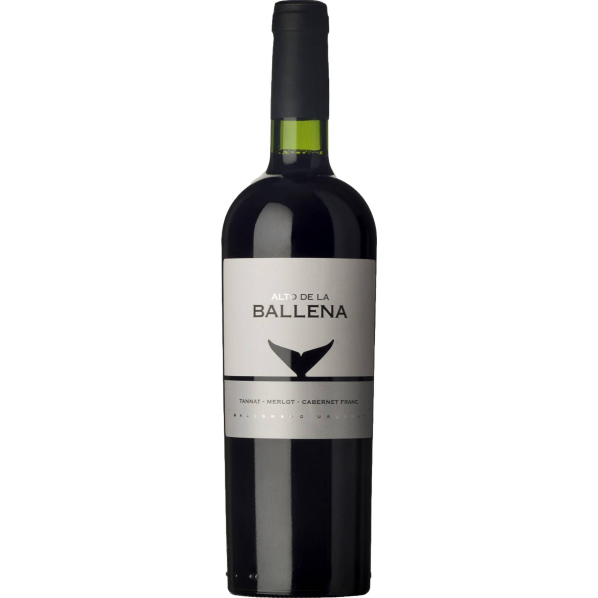 Premium Cuvée Tannat Merlot Cabernet Franc, Maldonado, Montevideo, 2014, Rotwein Premium Cuvée Tannat Merlot Cabernet Franc, Maldonado, Montevideo, 2014, Rotwein von Atlantik Weine e.K., Finkenweg 7, 65375 Oestrich-Winkel